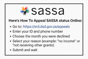 SASSA Status Check Failed